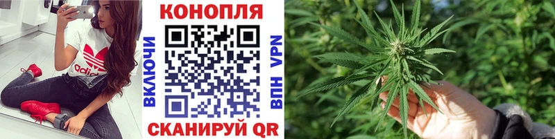 Бошки Шишки ГИДРОПОН  Кохма 
